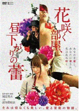 火狐影院资料图鉴角色卡，观星阁祁昭的标本插画位